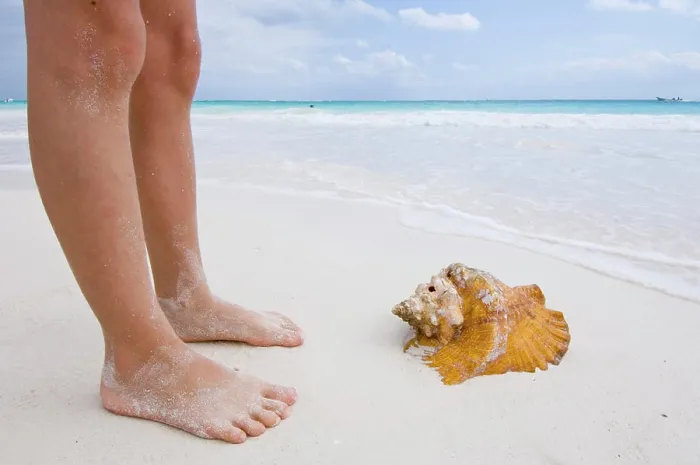 Framed Print : Tulum Beach Print: Legs and Conch Shell Framed Print : Tulum Beach Print: Legs and Conch Shell