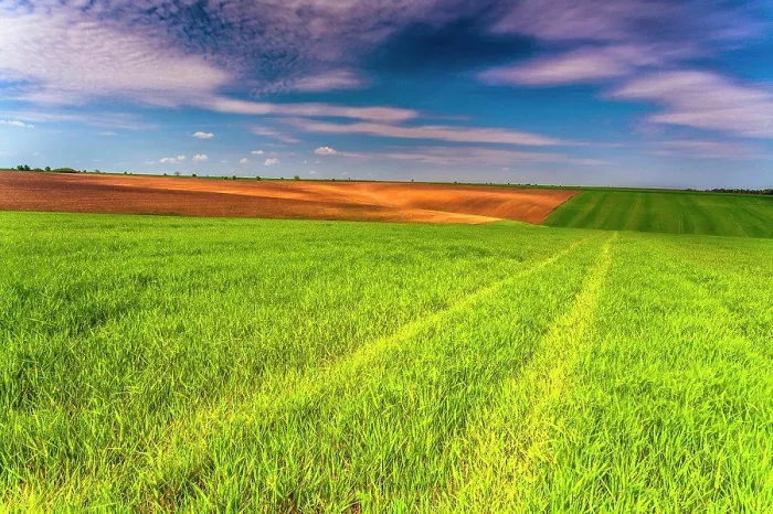 Framed Print : Spring Fields Print - Fresh Green Landscape Framed Print : Spring Fields Print - Fresh Green Landscape