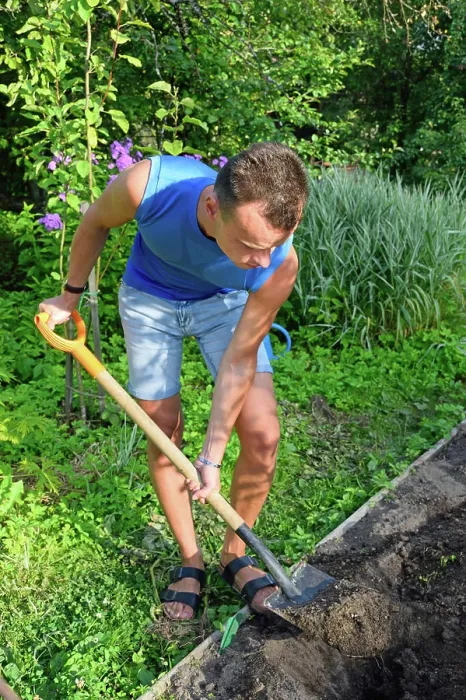 Framed Print : A young man digging a flower bed on the plot Print Framed Print : A young man digging a flower bed on the plot Print
