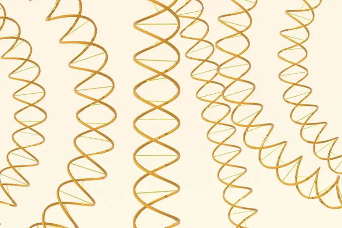 Framed Print : 3D Print of DNA Structure Framed Print : 3D Print of DNA Structure