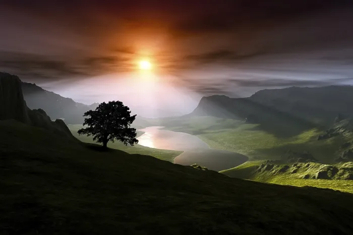 Framed Print : 3D Rendering Print: Sunset Valley Tree Silhouette Framed Print : 3D Rendering Print: Sunset Valley Tree Silhouette