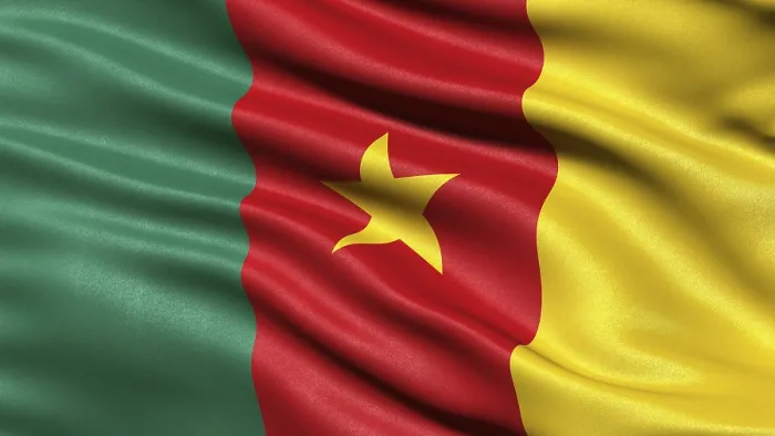 Framed Print : 3D Print of the Cameroon Flag Blowing in the Wind