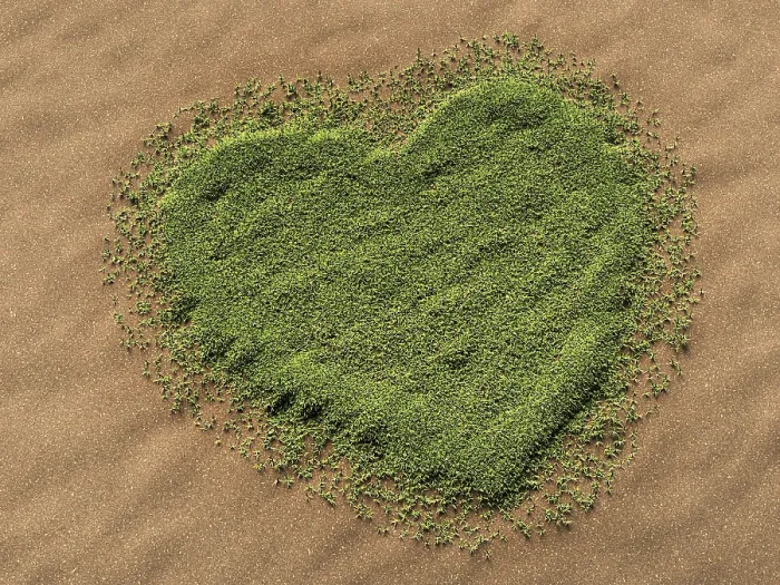 Framed Print : 3D Visualisation Print: Heart-Shaped Grass on Sandy Surface Framed Print : 3D Visualisation Print: Heart-Shaped Grass on Sandy Surface