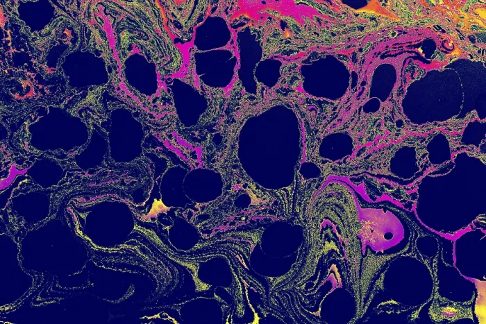 Framed Print : Abstract Marbling Print for Fabric Framed Print : Abstract Marbling Print for Fabric