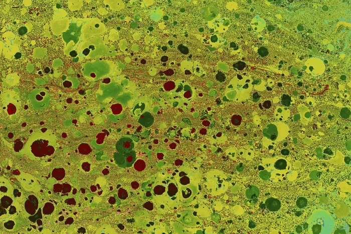 Framed Print : Abstract Marbling Print for Fabric Design Framed Print : Abstract Marbling Print for Fabric Design