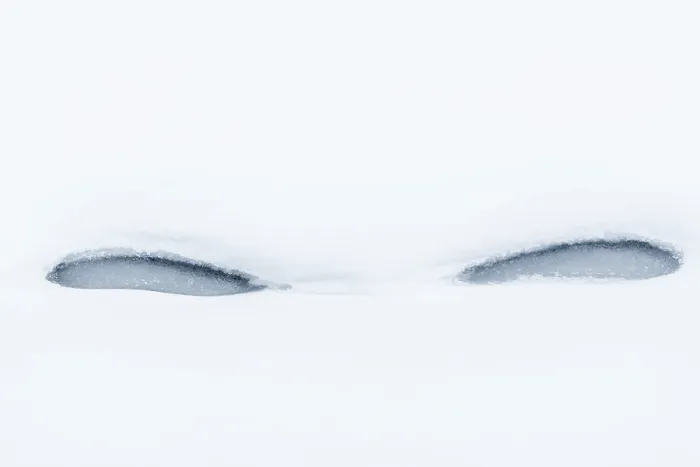 Framed Print : Abstract Ice Formations in Snow Print, Sweden 2018 Framed Print : Abstract Ice Formations in Snow Print, Sweden 2018