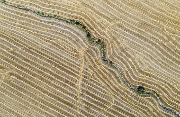 Framed Print : Abstract Patterns in Cornfield Print, Andalusia, Spain Framed Print : Abstract Patterns in Cornfield Print, Andalusia, Spain