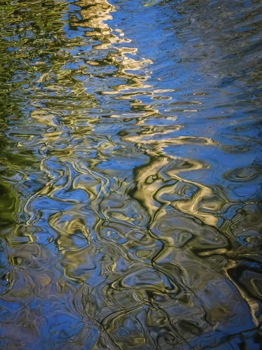 Framed Print : Abstract Reflection of a Tree in a Park Print Framed Print : Abstract Reflection of a Tree in a Park Print