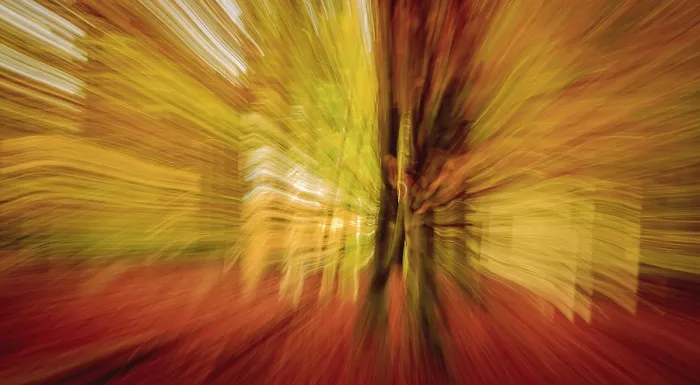Framed Print : Abstract Sunrays in Autumn Forest Print Framed Print : Abstract Sunrays in Autumn Forest Print