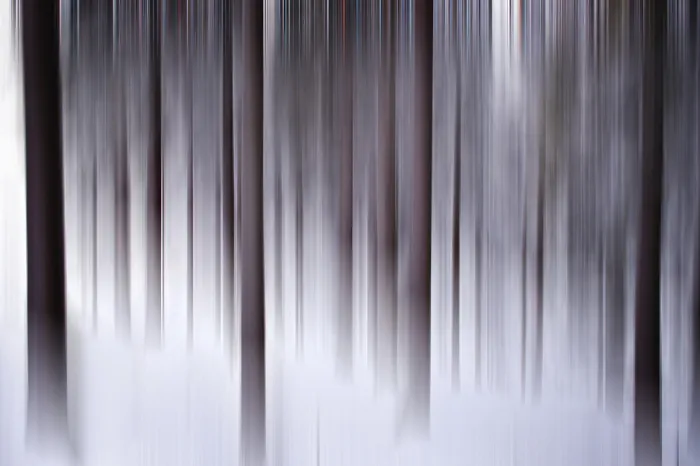 Framed Print : Abstract Winter Forest Scene Print Framed Print : Abstract Winter Forest Scene Print
