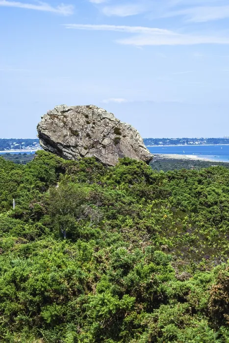 Framed Print : Agglestone Rock Print, Studland, Dorset Framed Print : Agglestone Rock Print, Studland, Dorset