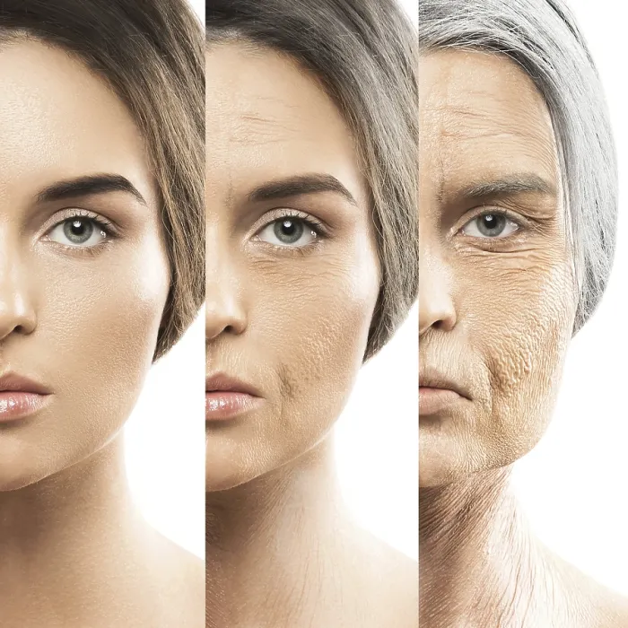 Framed Print : Real vs Aging: Print Comparison of Young and Old Framed Print : Real vs Aging: Print Comparison of Young and Old