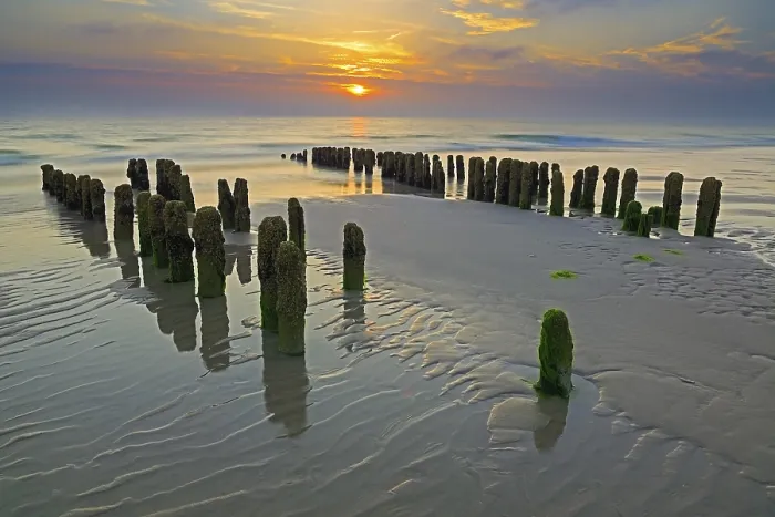 Framed Print : Algae-covered groynes at sunset, Rantum Beach Print Framed Print : Algae-covered groynes at sunset, Rantum Beach Print