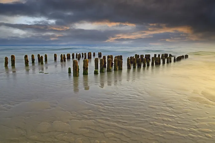 Framed Print : Algae-covered groynes at sunset, Rantum Beach Print Framed Print : Algae-covered groynes at sunset, Rantum Beach Print
