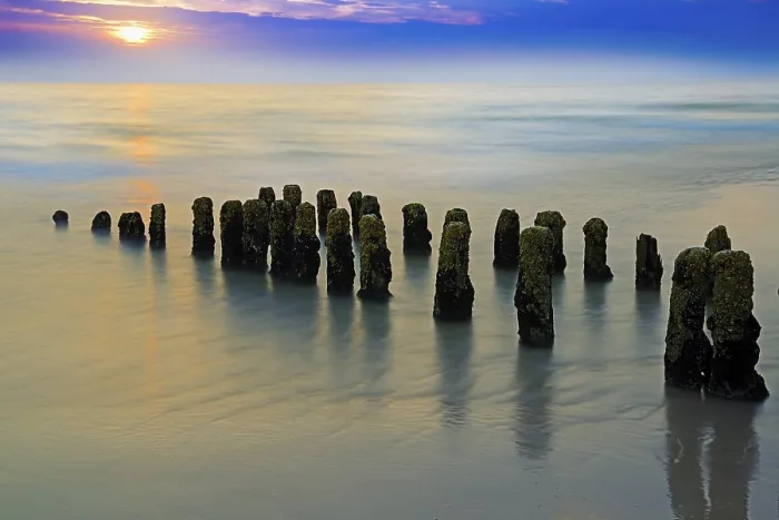 Framed Print : Algae-covered groynes at sunset on Rantum beach, Print