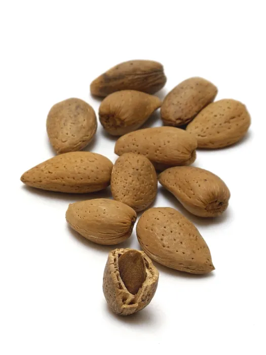 Framed Print : A few almonds Print Framed Print : A few almonds Print
