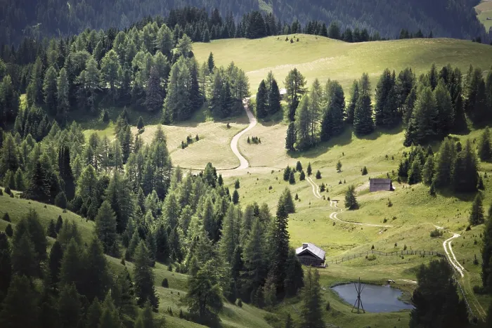 Framed Print : Alpine Green Valley Print in Springtime Framed Print : Alpine Green Valley Print in Springtime