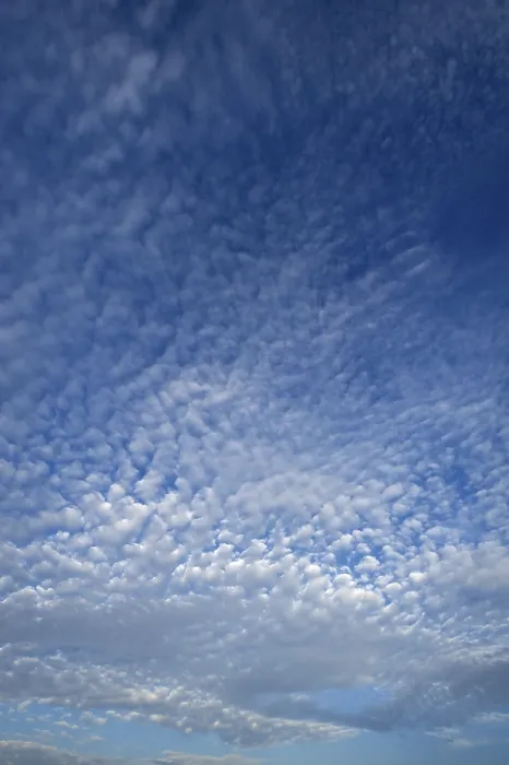 Framed Print : Altocumulus Clouds Print, Germany Framed Print : Altocumulus Clouds Print, Germany