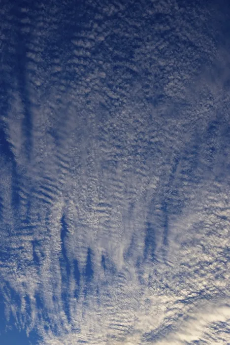 Framed Print : Altocumulus Clouds Print, Upper Austria Framed Print : Altocumulus Clouds Print, Upper Austria