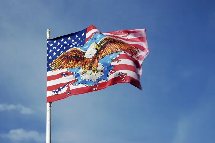 Framed Print : American Flag Print with Eagle Framed Print : American Flag Print with Eagle