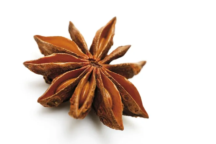 Framed Print : Anise Star Print Framed Print : Anise Star Print