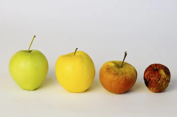 Framed Print : Apple Aplples Print Framed Print : Apple Aplples Print