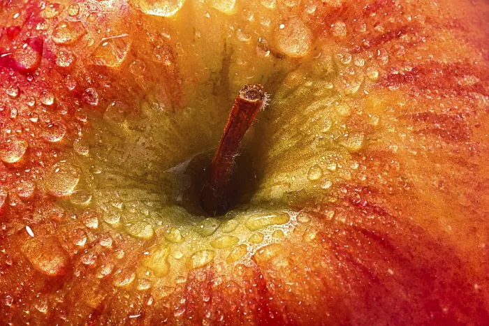Framed Print : Apple Macro with Water Drop Print Framed Print : Apple Macro with Water Drop Print
