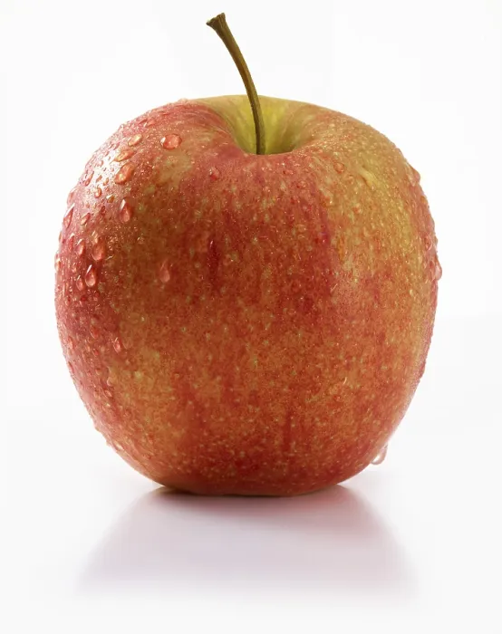 Framed Print : Apple (Malus) Print on White Background