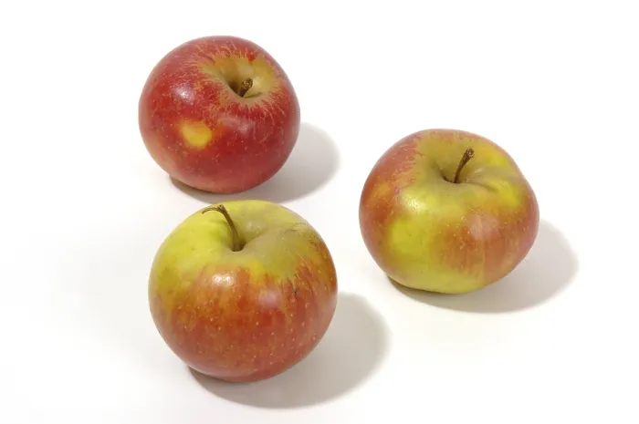 Framed Print : Apples Print by ImageBROKER Framed Print : Apples Print by ImageBROKER