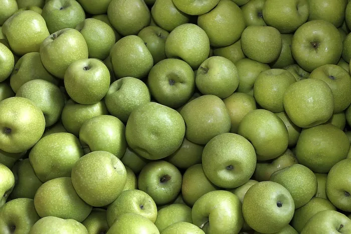 Framed Print : Apples Print by ImageBROKER