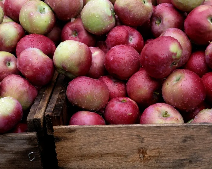Framed Print : Apples in Box Print Framed Print : Apples in Box Print