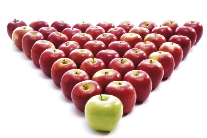 Framed Print : Apples Forming a Triangle Print Framed Print : Apples Forming a Triangle Print