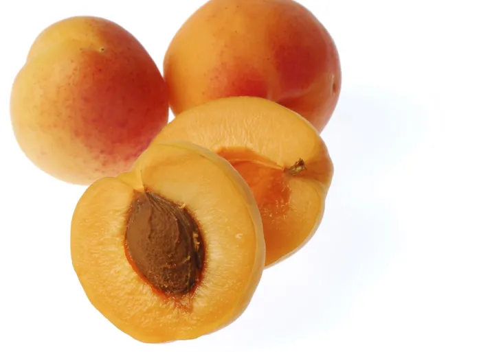 Framed Print : Apricots Apricots Print Framed Print : Apricots Apricots Print