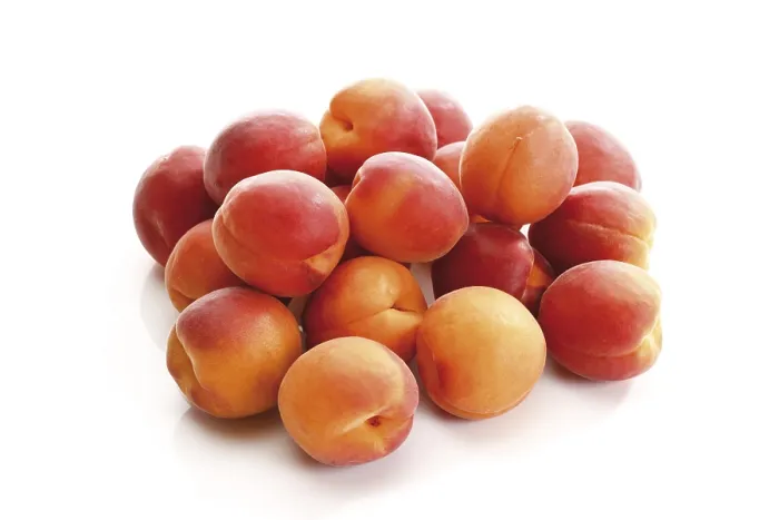Framed Print : Apricots Apricots Print Framed Print : Apricots Apricots Print