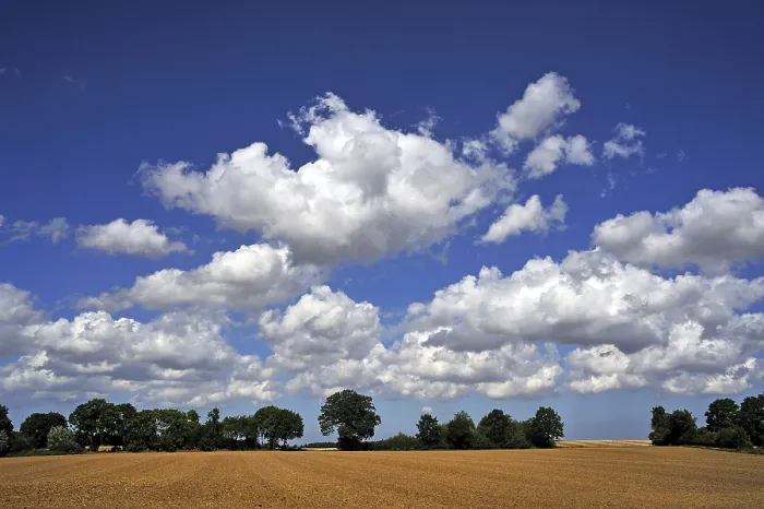 Framed Print : Arable field print with cumulus clouds, Germany Framed Print : Arable field print with cumulus clouds, Germany