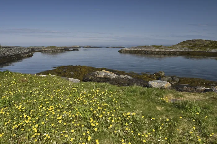 Framed Print : Archipelago in Norway Print Framed Print : Archipelago in Norway Print
