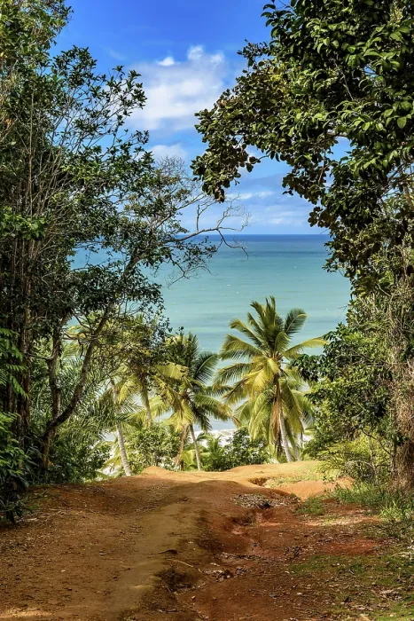 Framed Print : Arrival Trail at Prainha Beach, Bahia State, Brazil Print