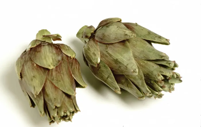 Framed Print : Artichoke Print Framed Print : Artichoke Print
