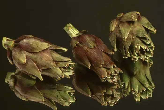 Framed Print : Artichoke Print Framed Print : Artichoke Print
