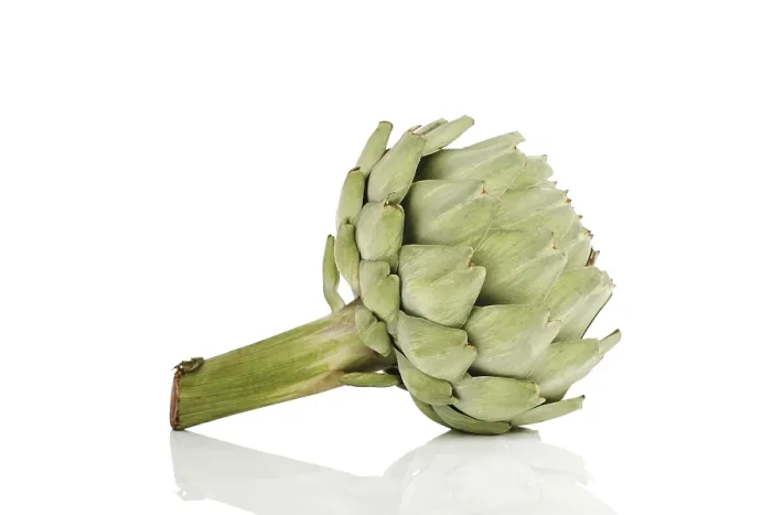 Framed Print : Artichoke Print Framed Print : Artichoke Print