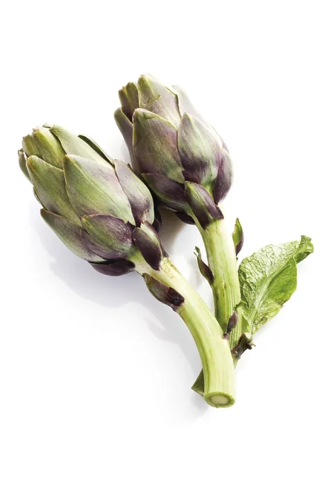Framed Print : Artichokes Print by imageBROKER Framed Print : Artichokes Print by imageBROKER