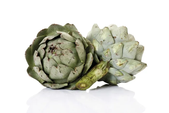 Framed Print : Artichokes Print Framed Print : Artichokes Print