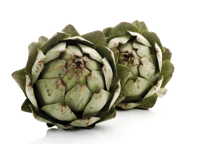 Framed Print : Artichokes Print Framed Print : Artichokes Print