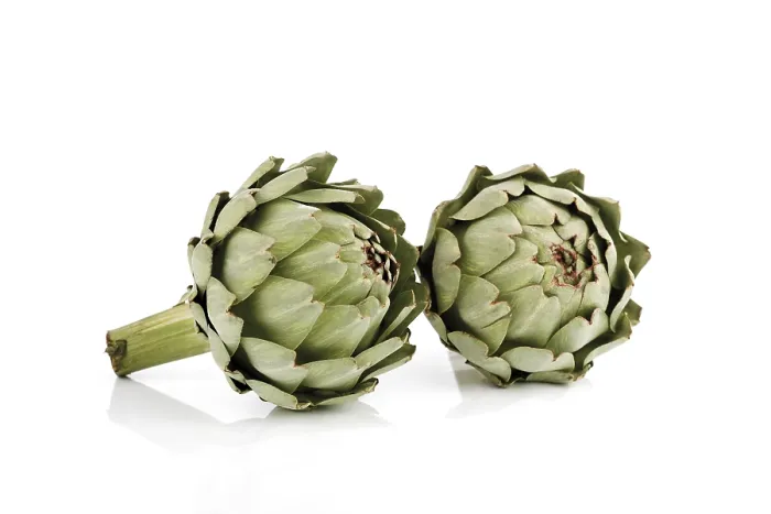 Framed Print : Print of Two Artichokes Framed Print : Print of Two Artichokes