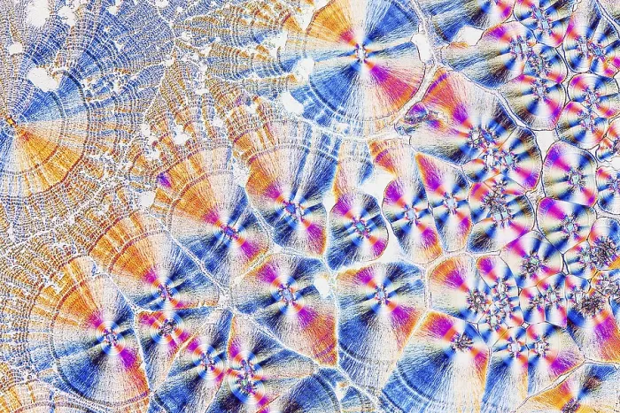 Framed Print : Ascorbic Acid Crystals Print in Polarized Light Framed Print : Ascorbic Acid Crystals Print in Polarized Light