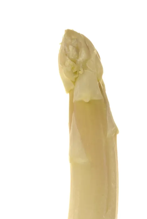Framed Print : Asparagus Print by ImageBROKER Framed Print : Asparagus Print by ImageBROKER