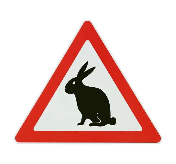 Framed Print : Attention Easter Bunny Print on White Background Framed Print : Attention Easter Bunny Print on White Background
