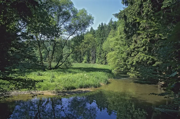 Framed Print : Aumatal Germany Print: Summer Landscape Framed Print : Aumatal Germany Print: Summer Landscape