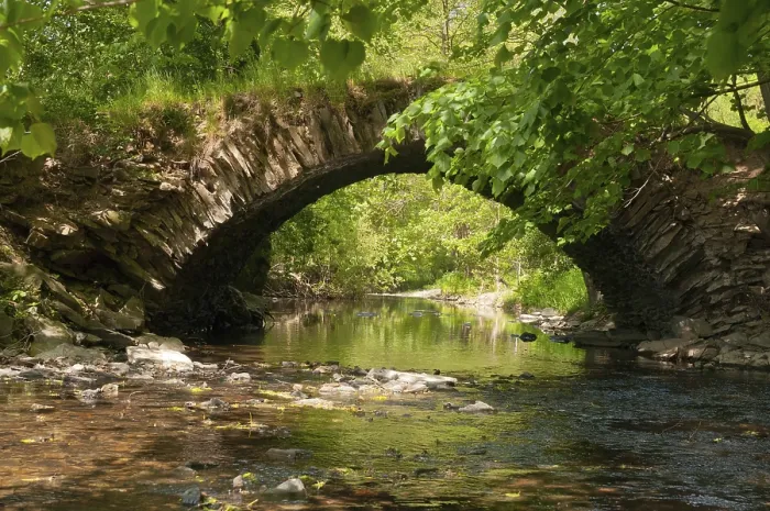 Framed Print : Aumatal Bridge Print, Thuringia River Landscape Framed Print : Aumatal Bridge Print, Thuringia River Landscape
