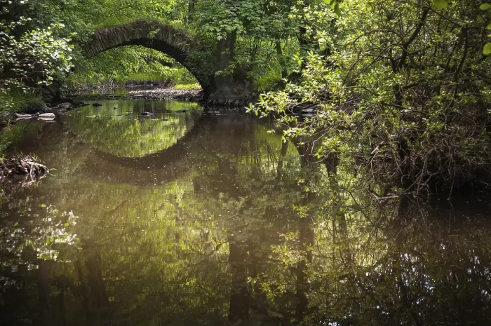Framed Print : Aumatal Bridge Print, Thuringia River Landscape Framed Print : Aumatal Bridge Print, Thuringia River Landscape